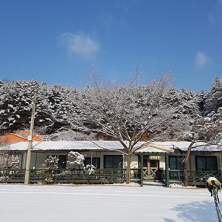 Bluesky Pension 抱川市 エクステリア 写真